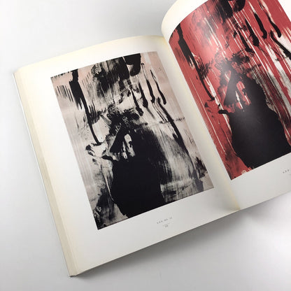 Claus Carstensen – The Sao Paulo Project And Related Work| Exhibition catalogue, 1992-94