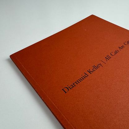 Diarmuid Kelley. All Cats Are Grey | Offer Waterman Gallery, 2014