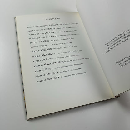 Nabil Nahas | Sperone Westwater Gallery, New York exhibition catalogue, 1996