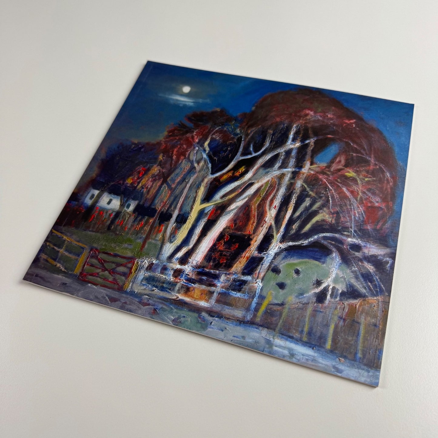 David Martin. Thoughts on Landscape and Still Life | Lemon Street Gallery, 2011