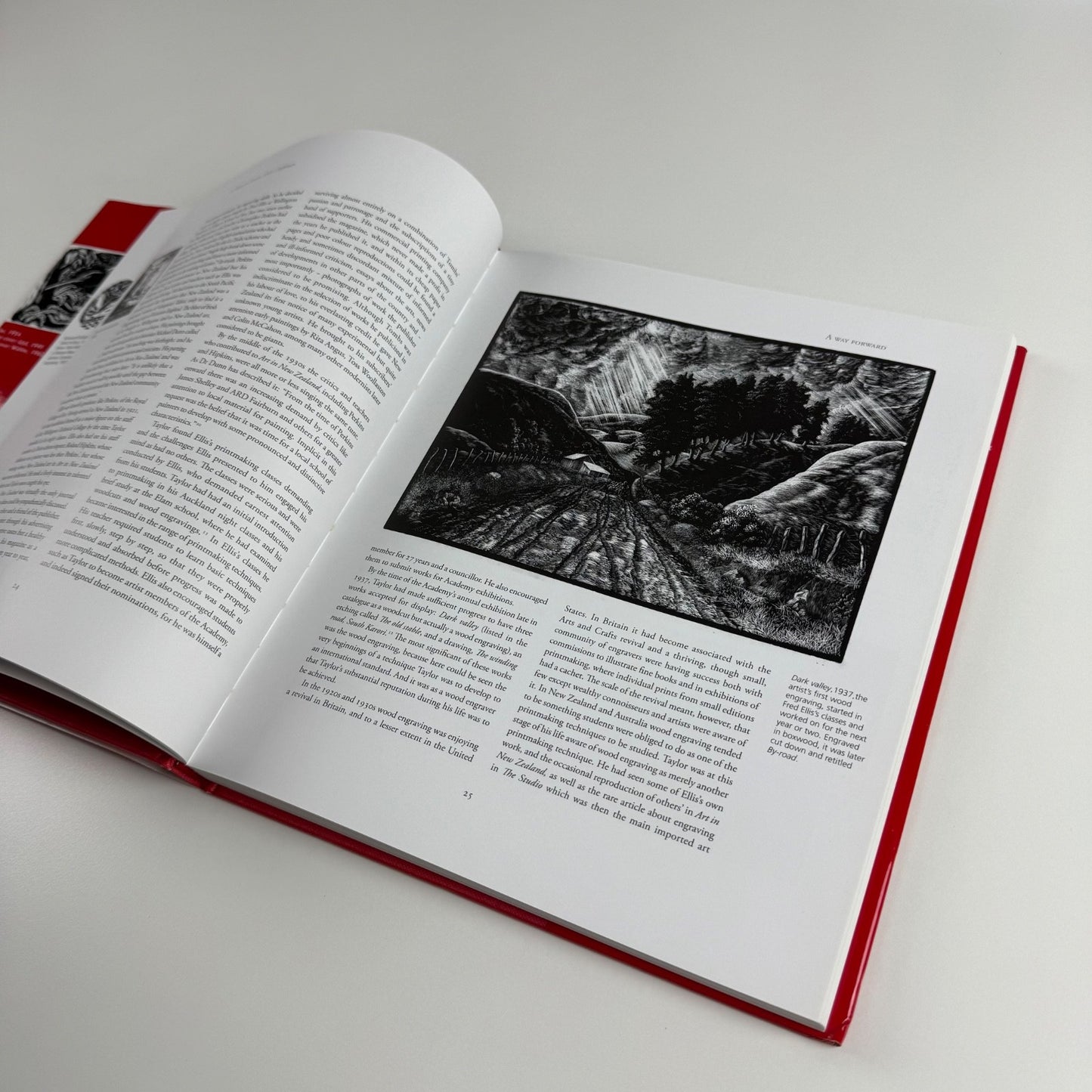 E. Mervyn Taylor. Artist Craftsman by Bryan James | Steele Roberts, 2006