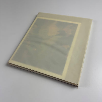 Christopher Orr. Foundation 20 21. Nye Haus, limited edition 1394 of 1500