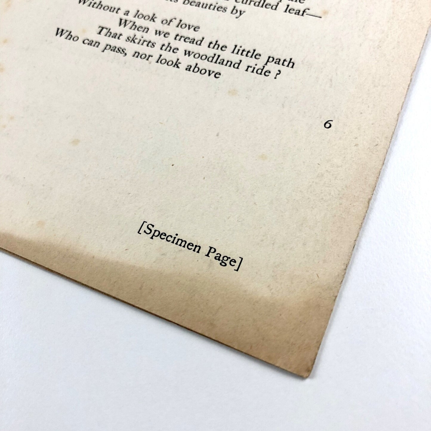 Prospectus for Madrigals & Chronicles by John Clare | The Beaumont Press c.1924
