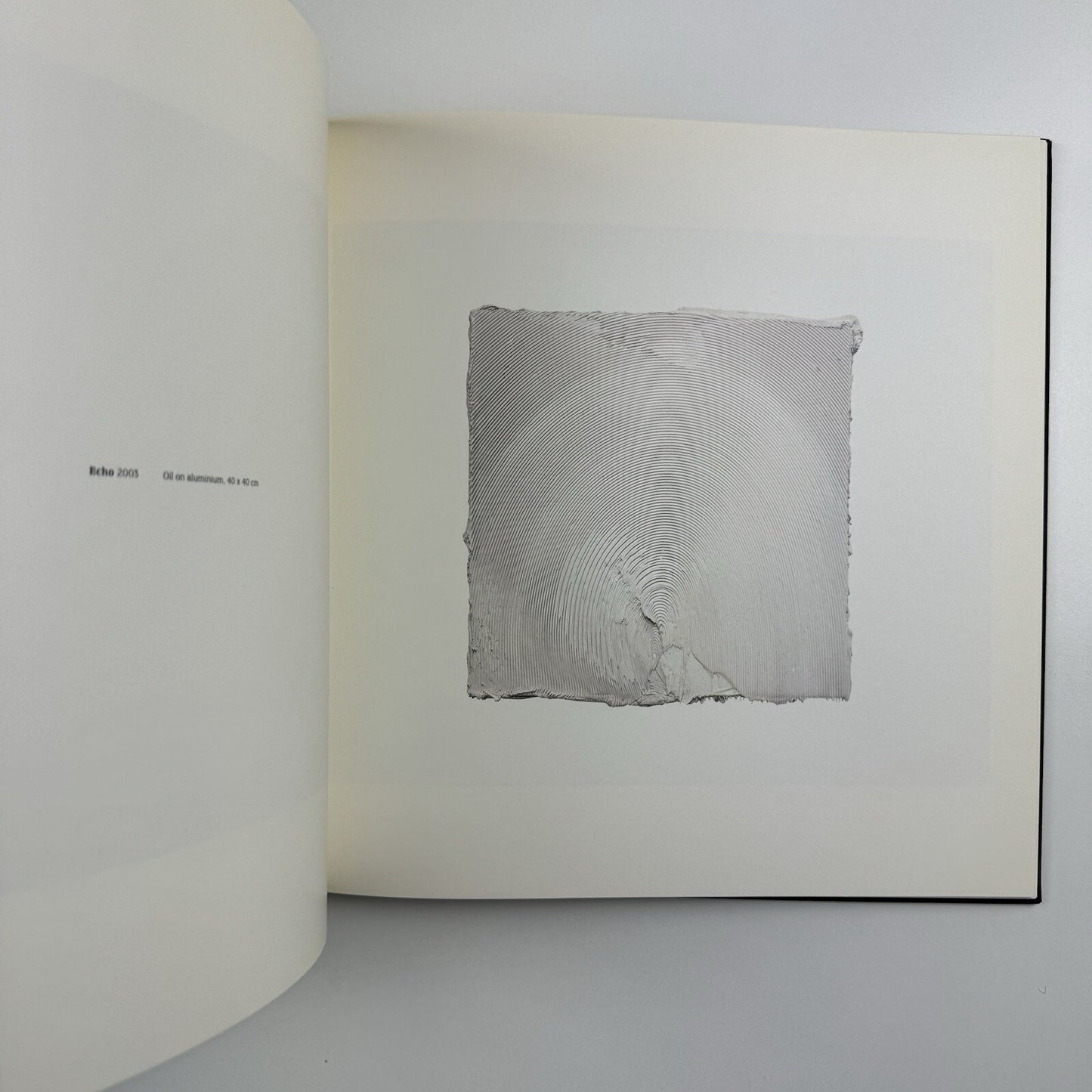 Jason Martin. Arcadia | Mário Sequeira Gallery Portugal | 2006 exhibition catalogue