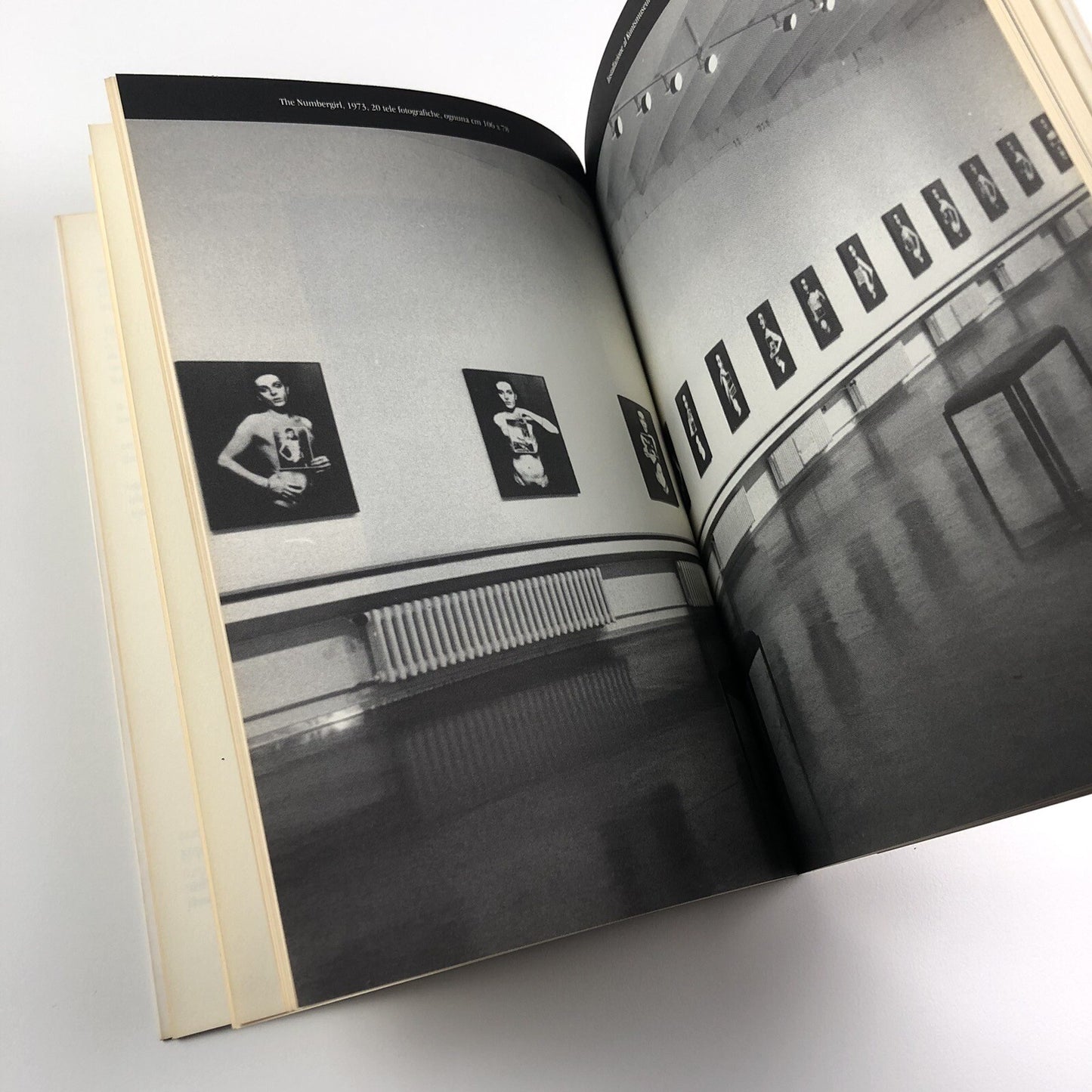 Urs Lüthi | Galleria Civici Palazzina dei Giardini Modena 1994