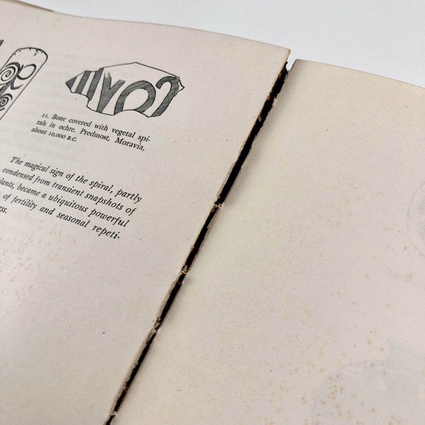 The way beyond 'art' – Herbert Bayer by Alexander Dorner | Wittenborn, Schultz, 1947 | James W. Fitzgibbon bookplate