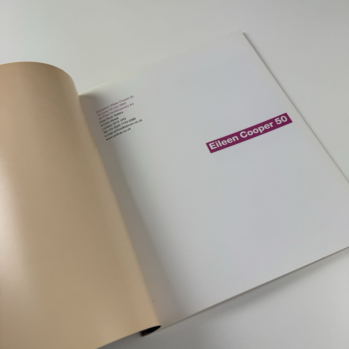 Eileen Cooper 50 | Art First Contemporary Art catalogue, 2003
