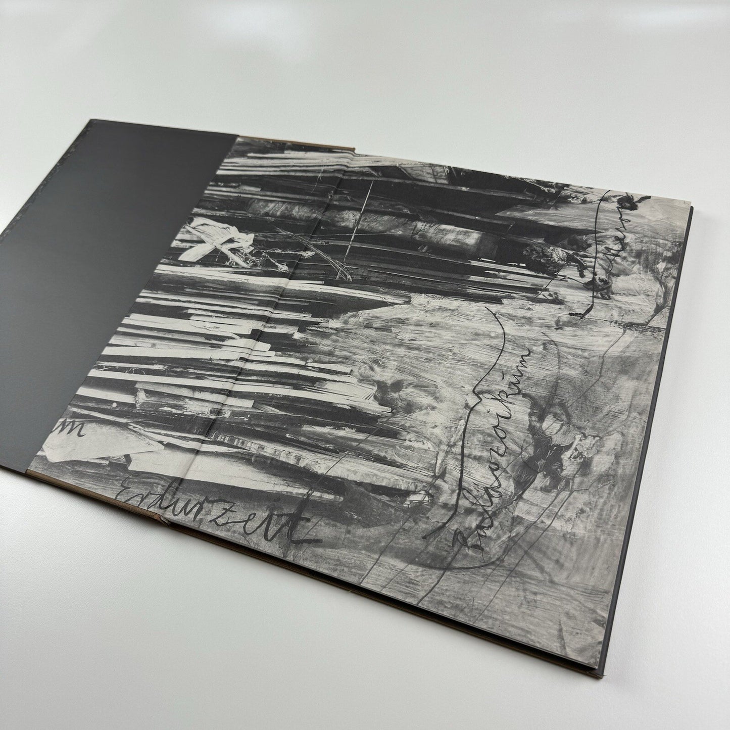 Karfunkelfee. Anselm Kiefer. The Fertile Crescent | White Cube 2009