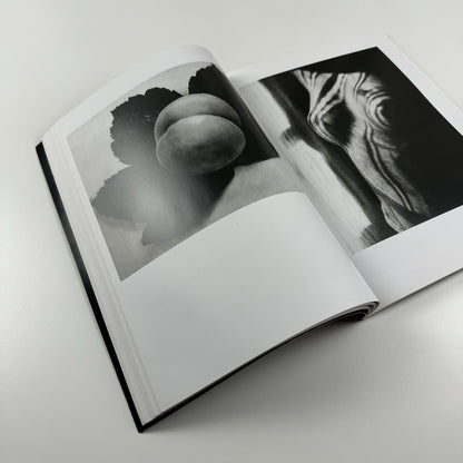 Man Ray: Paris Photographs 1920-34 | Delano Greenidge | New York, 2000