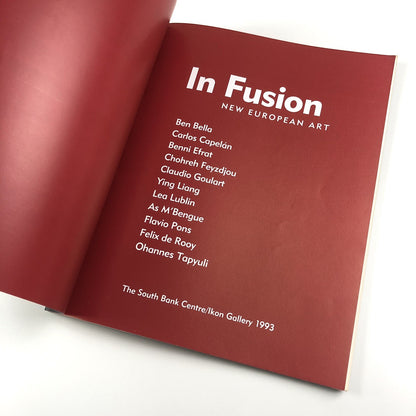 In Fusion: New European Art | Touring exhibition catalogue, 1993 | South Bank/Ikon Gallery