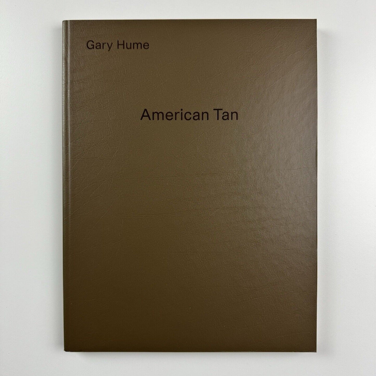 Gary Hume. American Tan | White Cube, London, 2007
