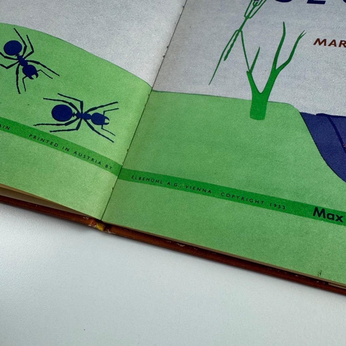 The Wonder World of Insects by Marie Neurath | Max Parrish, 1953 Isotype