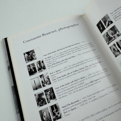 Brancusi Photographs by Elizabeth A. Brown | Thames & Hudson, 1995