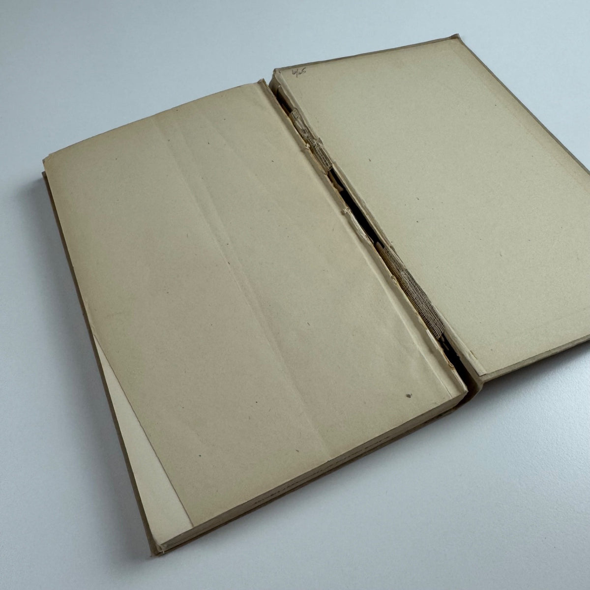 Nineteenth XIXth Century Ornamented Types & Title Pages Nicolette Gray 1938