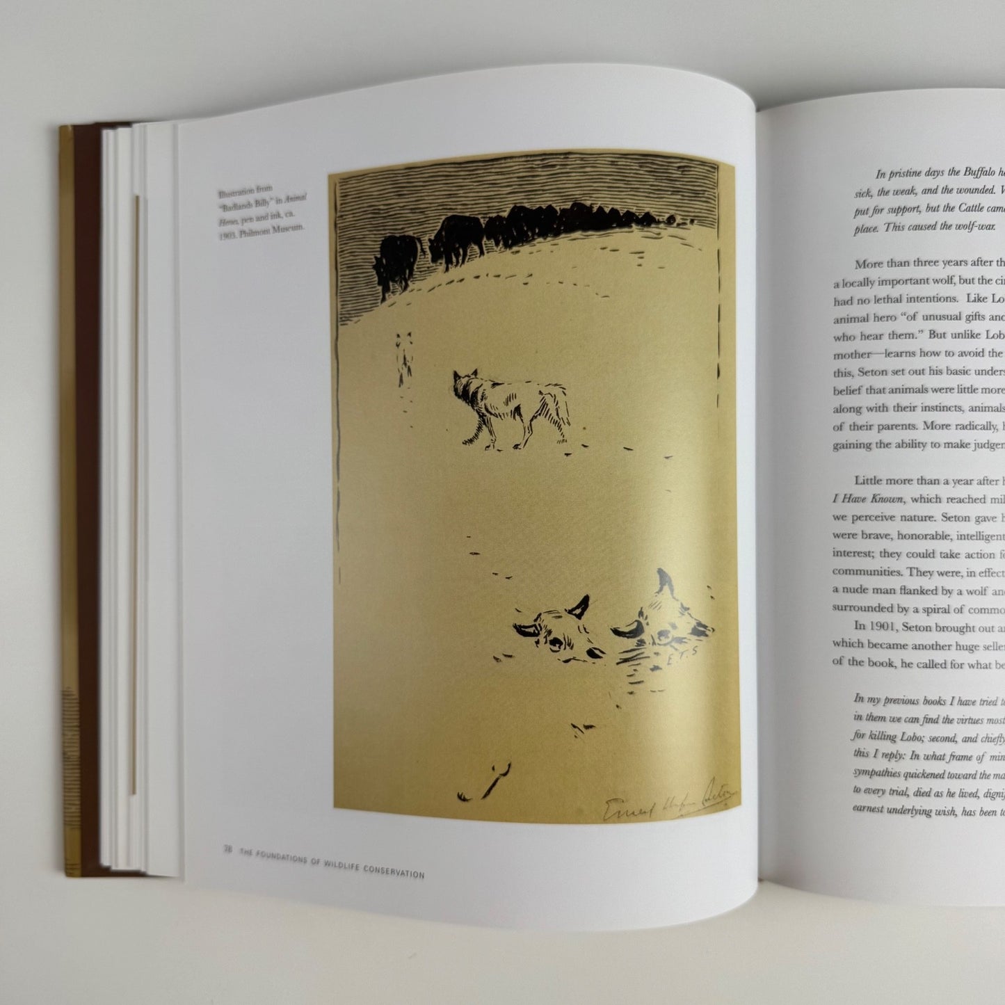 Ernest Thompson Seton: The Life and Legacy of an Artist and Conservationist by David L. Witt | Gibbs M. Smith, 2010