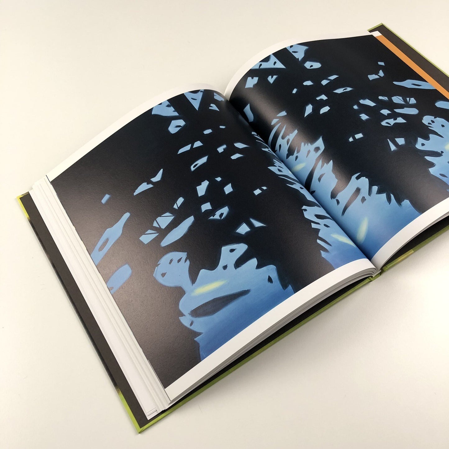 Alex Katz Quick Lights | Serpentine Galleries | Koenig Books 2016