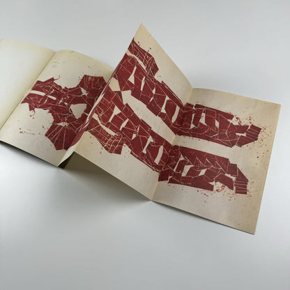 Matthew Monahan – Five years ten years maybe never | MOCA Los Angeles Focus, exhibition catalogue 2007