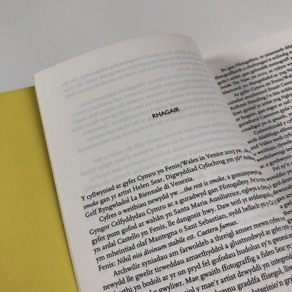 Helen Sear ... the rest is smoke | Wales in Venice biennale catalogue, 2015