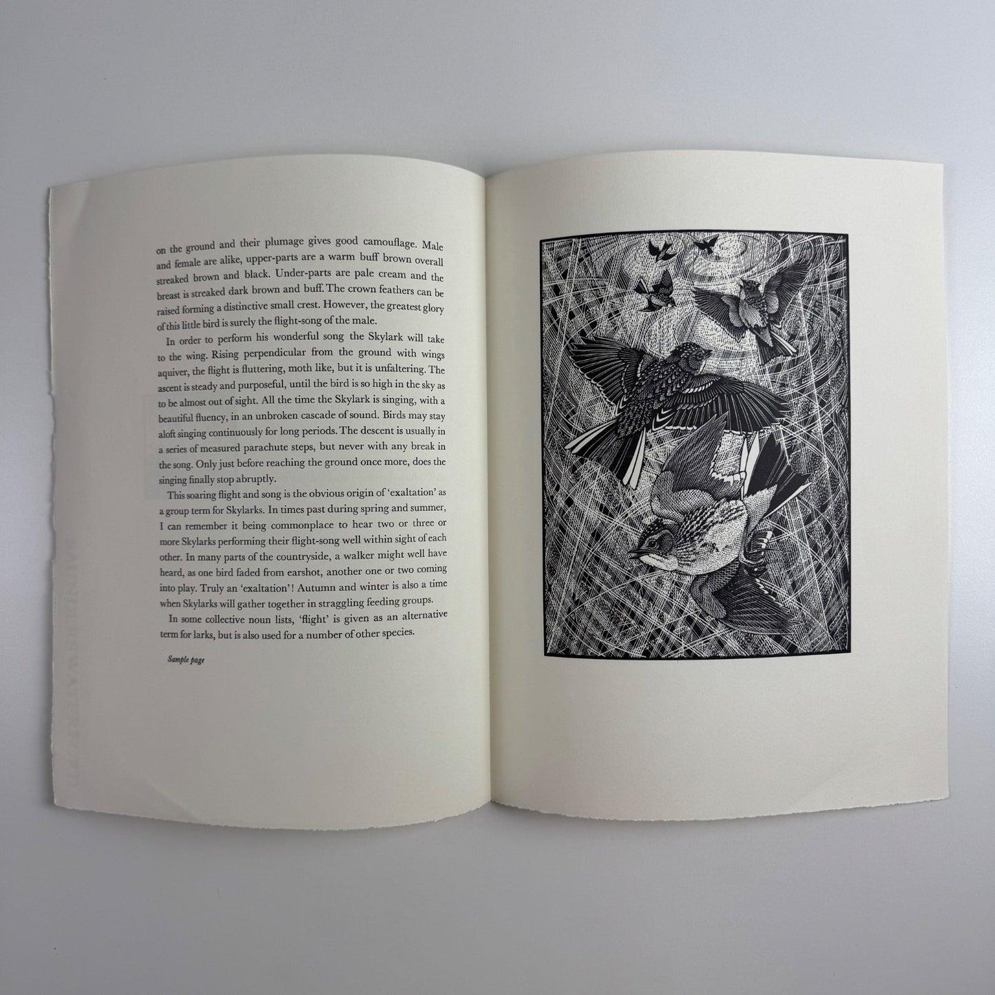 Prospectus for Exaltation of Larks | Of a Feather by Colin See-Paynton | Gregynog Press, 2008
