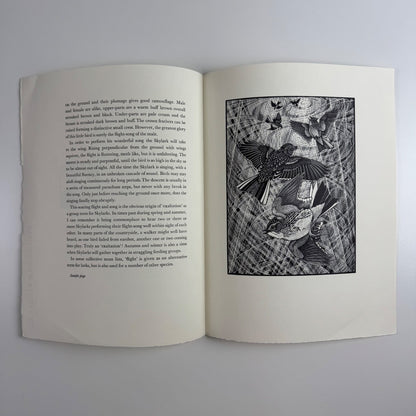Prospectus for Exaltation of Larks | Of a Feather by Colin See-Paynton | Gregynog Press, 2008
