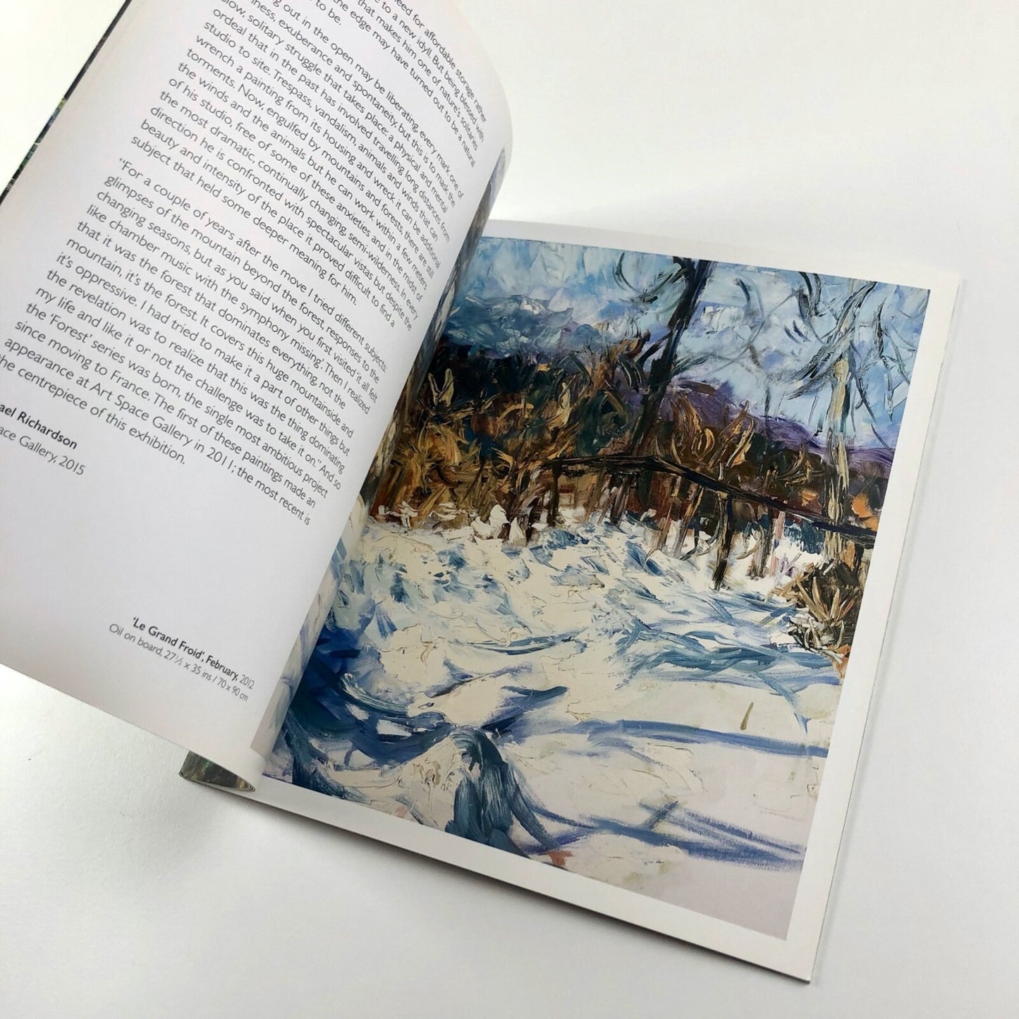 Ray Atkins. At the Forest’s Edge. Paintings 2015 | Art Space Gallery catalogue