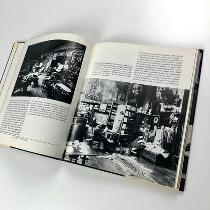 Imagination's Chamber by Alice Bellony-Rewald and Michael Peppiatt, 1983