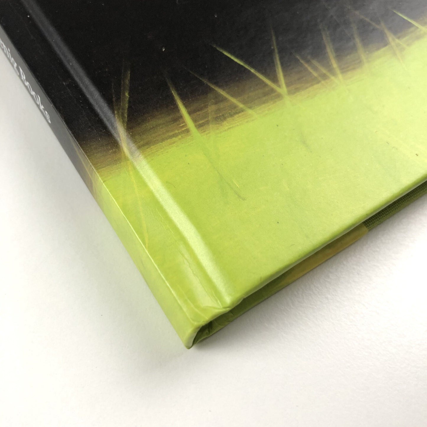 Alex Katz Quick Lights | Serpentine Galleries | Koenig Books 2016