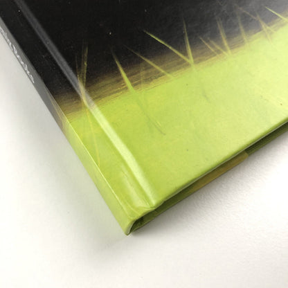 Alex Katz Quick Lights | Serpentine Galleries | Koenig Books 2016