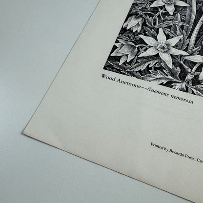 Prospectus for Woodland Plants by Heather & Robin Tanner | Robert Garton 1981