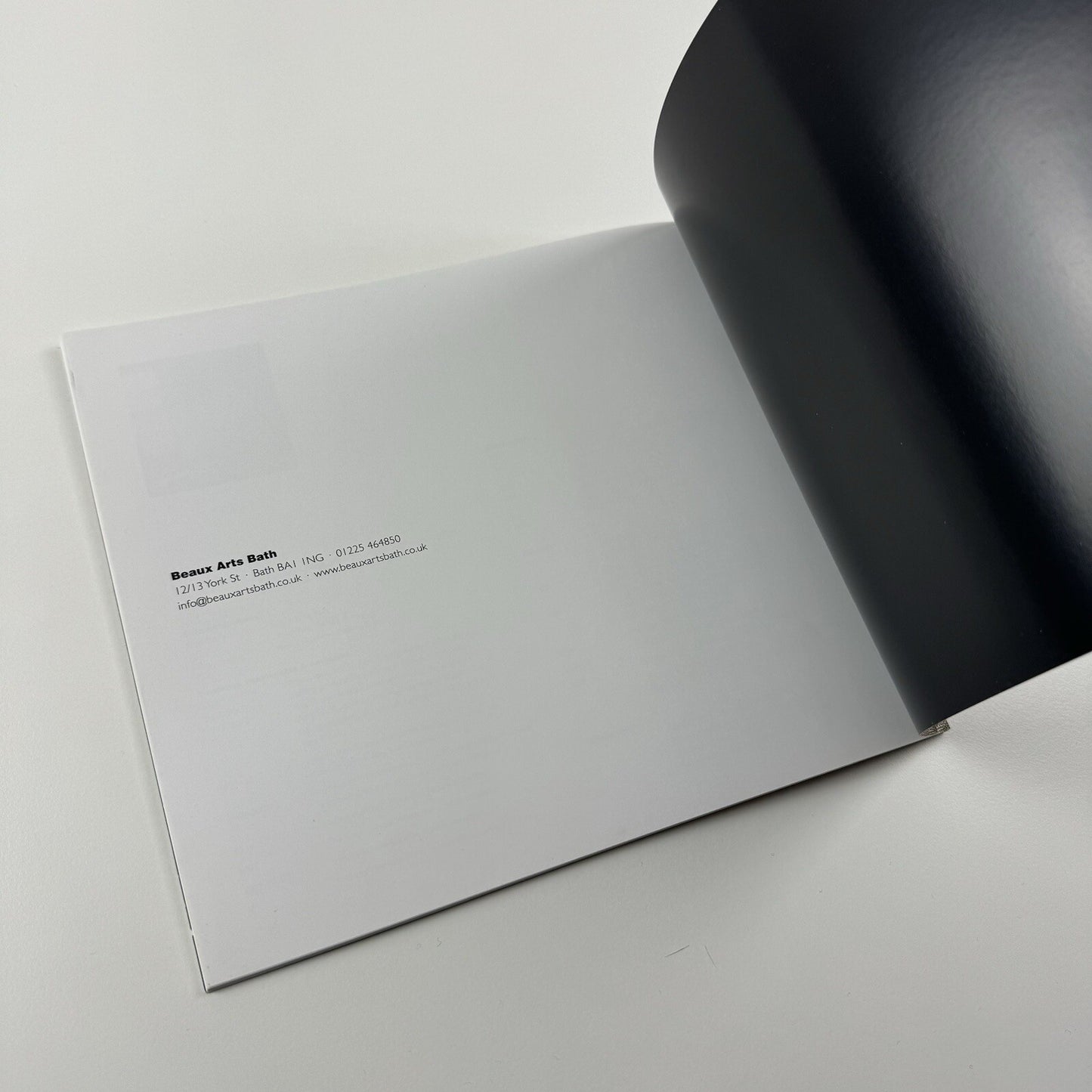 Naomi Frears | Beaux Arts Bath exhibition catalogue, 2011