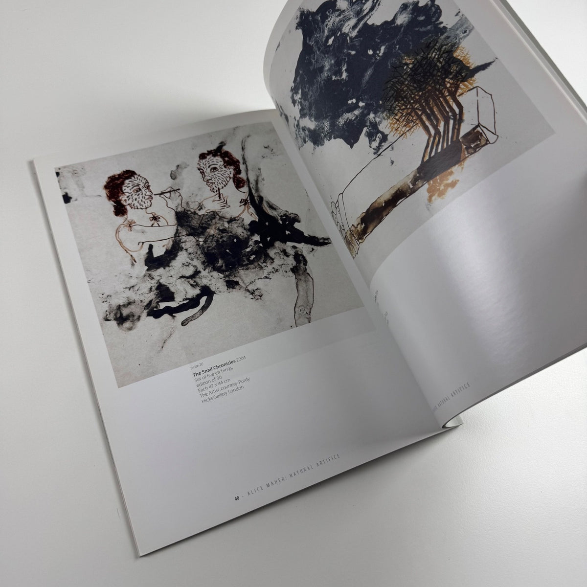 Alice Maher. Natural Artifice | Royal Pavilion Libraries & Museums, 2007 inscribed