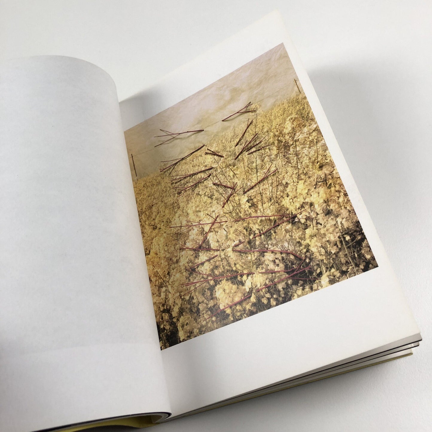 Helen Sear ... the rest is smoke | Wales in Venice biennale catalogue, 2015
