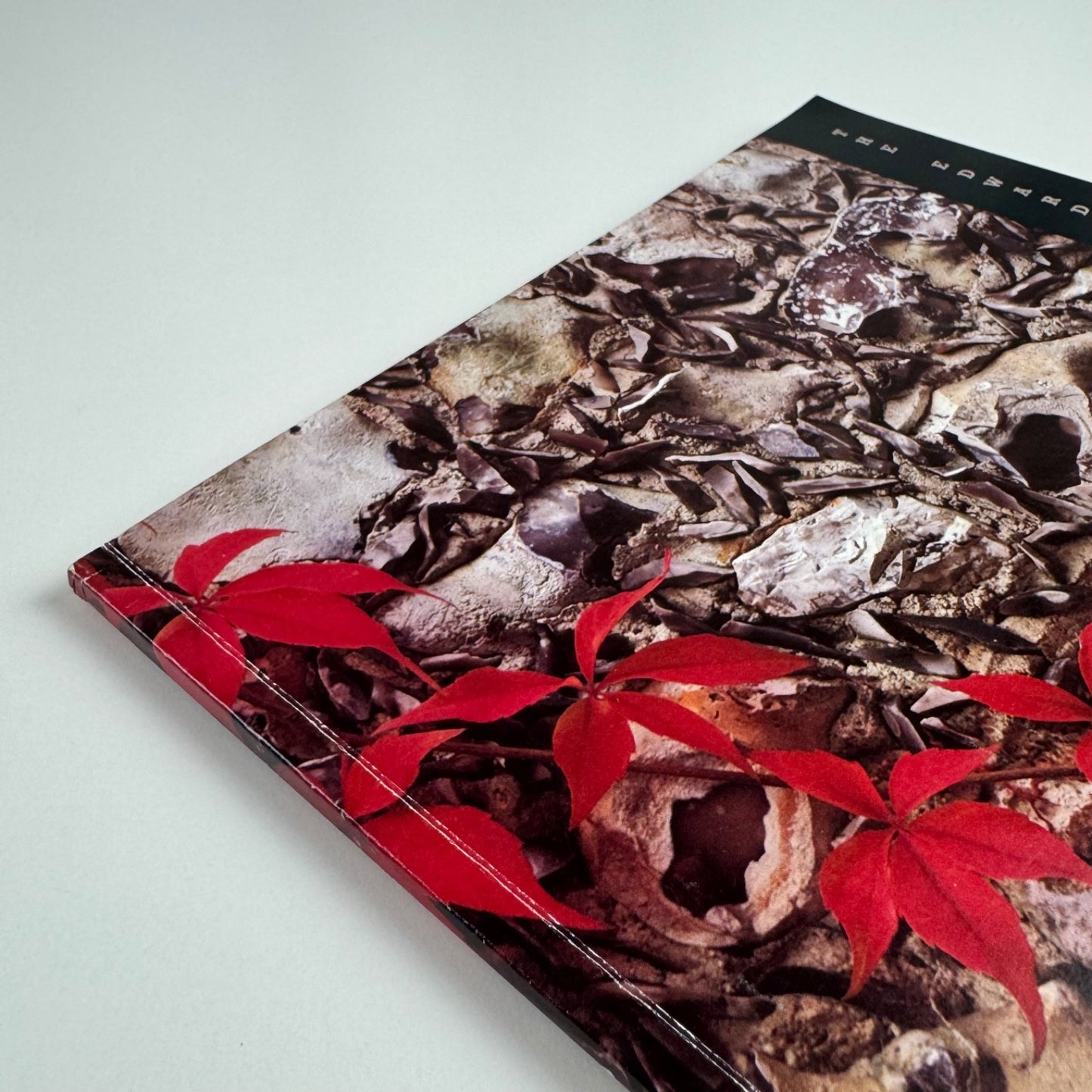 The Edward James Foundation edited by Peter Sarginson, 1992