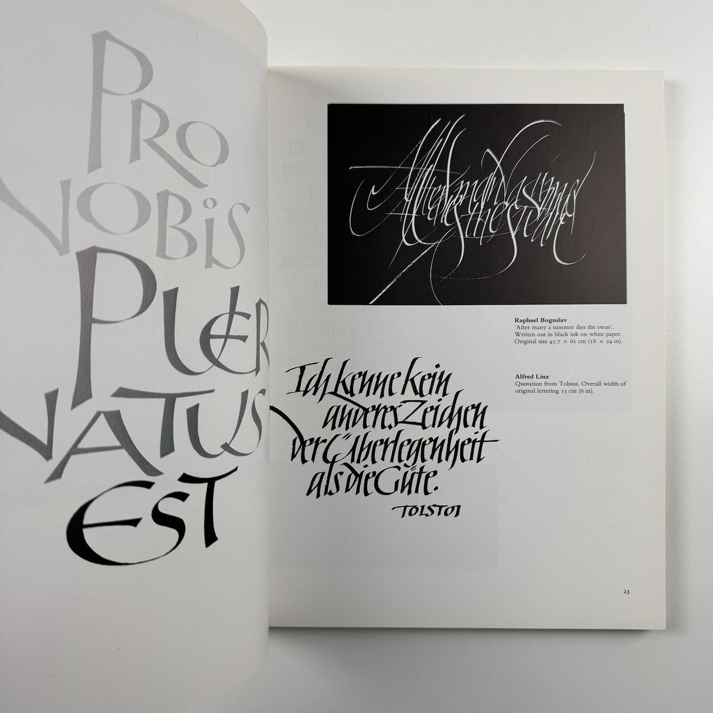 Modern Scribes and Lettering Artists | Trefoil Publications, 1990