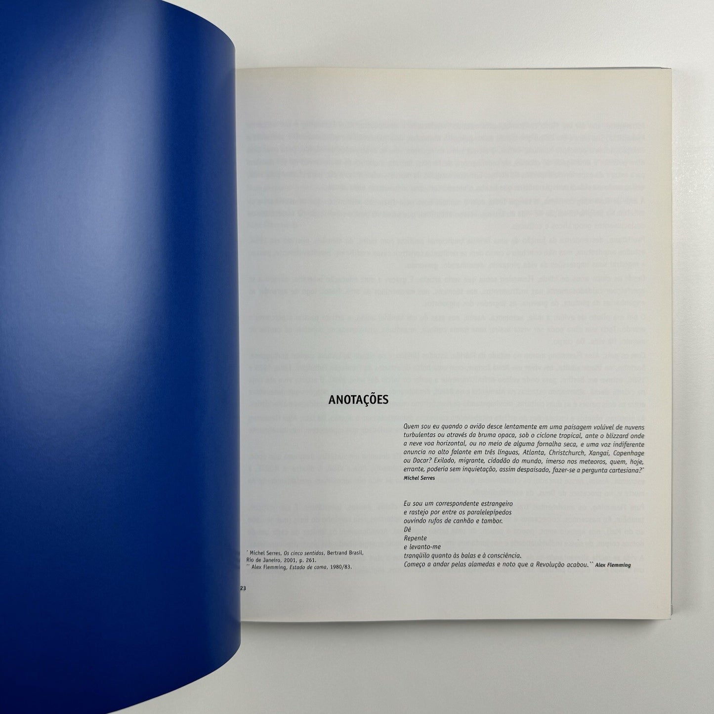 Alex Flemming, Uma Poética by Katia Canton | Metalivros, Sao Paulo 2002