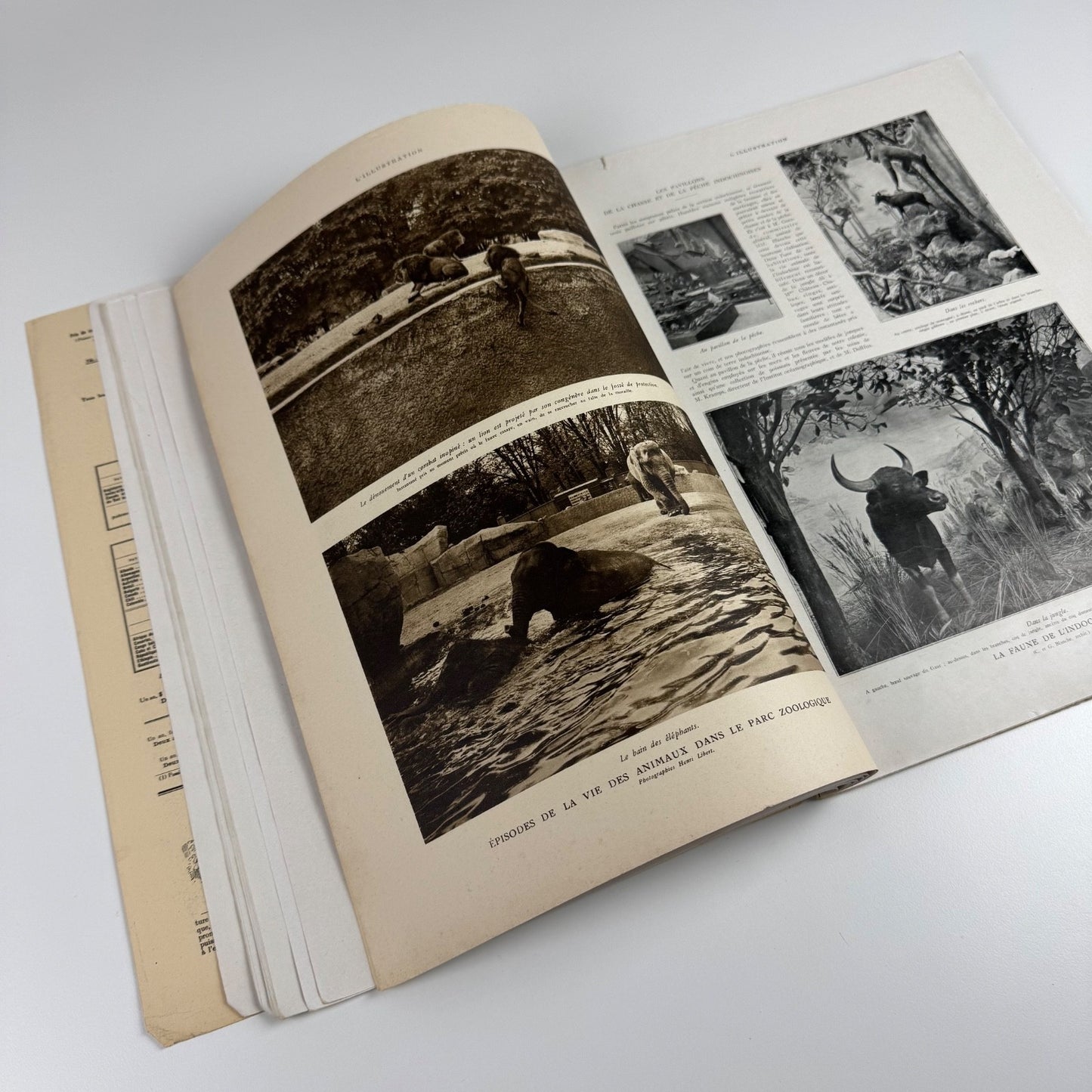 L’Illustration journal 27 June 1931 | L’Exposition Coloniale No 4608