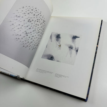Guy Limone – Amongst | Galerie Perrotin 2012 exhibition catalogue