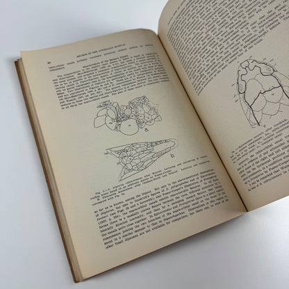 Records of the Australian Museum ed. A.B. Walkom Vol XXI, No. 1 4 July 1941