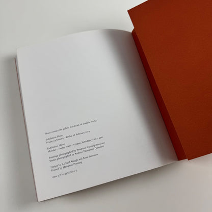 Diarmuid Kelley. All Cats Are Grey | Offer Waterman Gallery, 2014