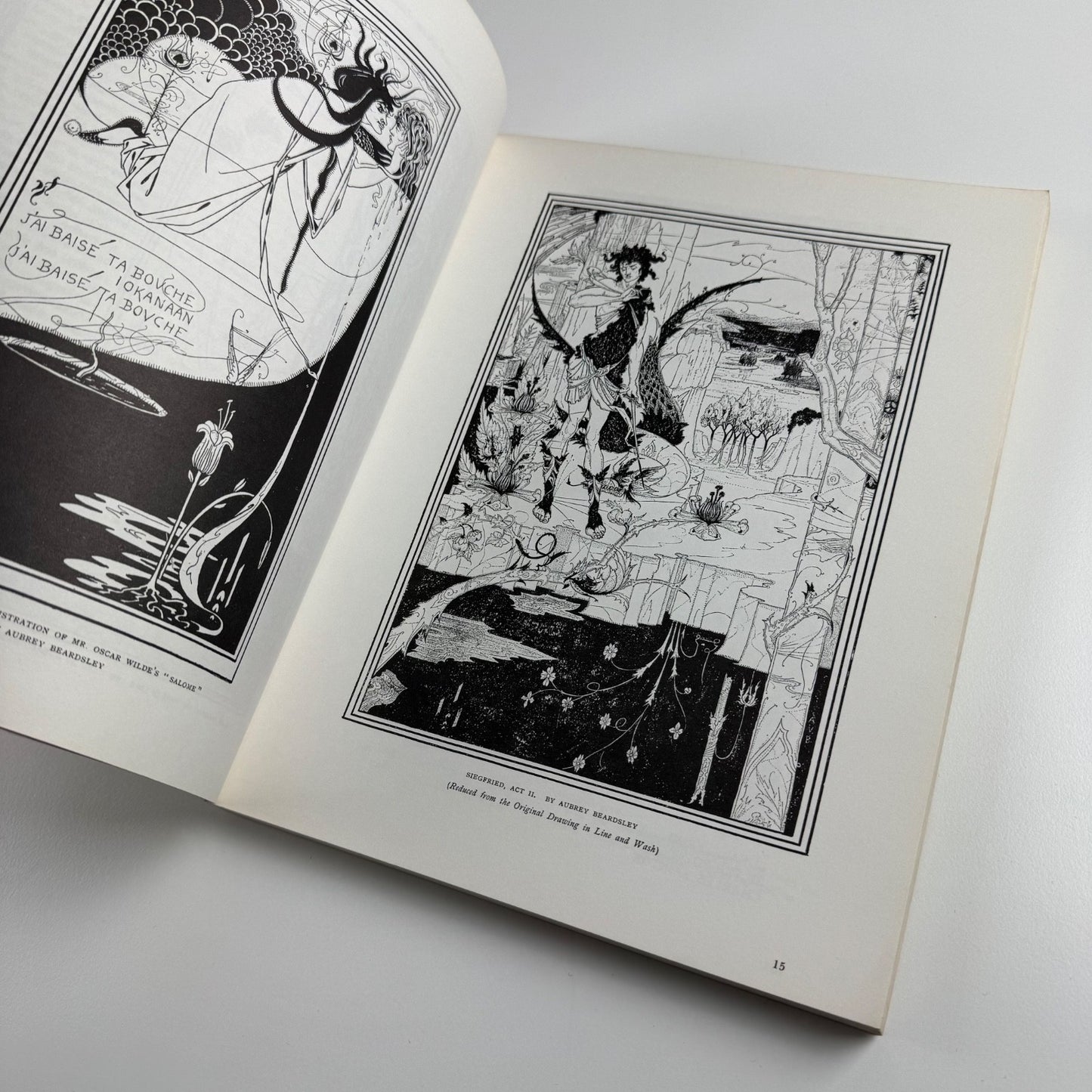 The Birth of The Studio 1893-1895 | Antique Collectors’ Club, 1976