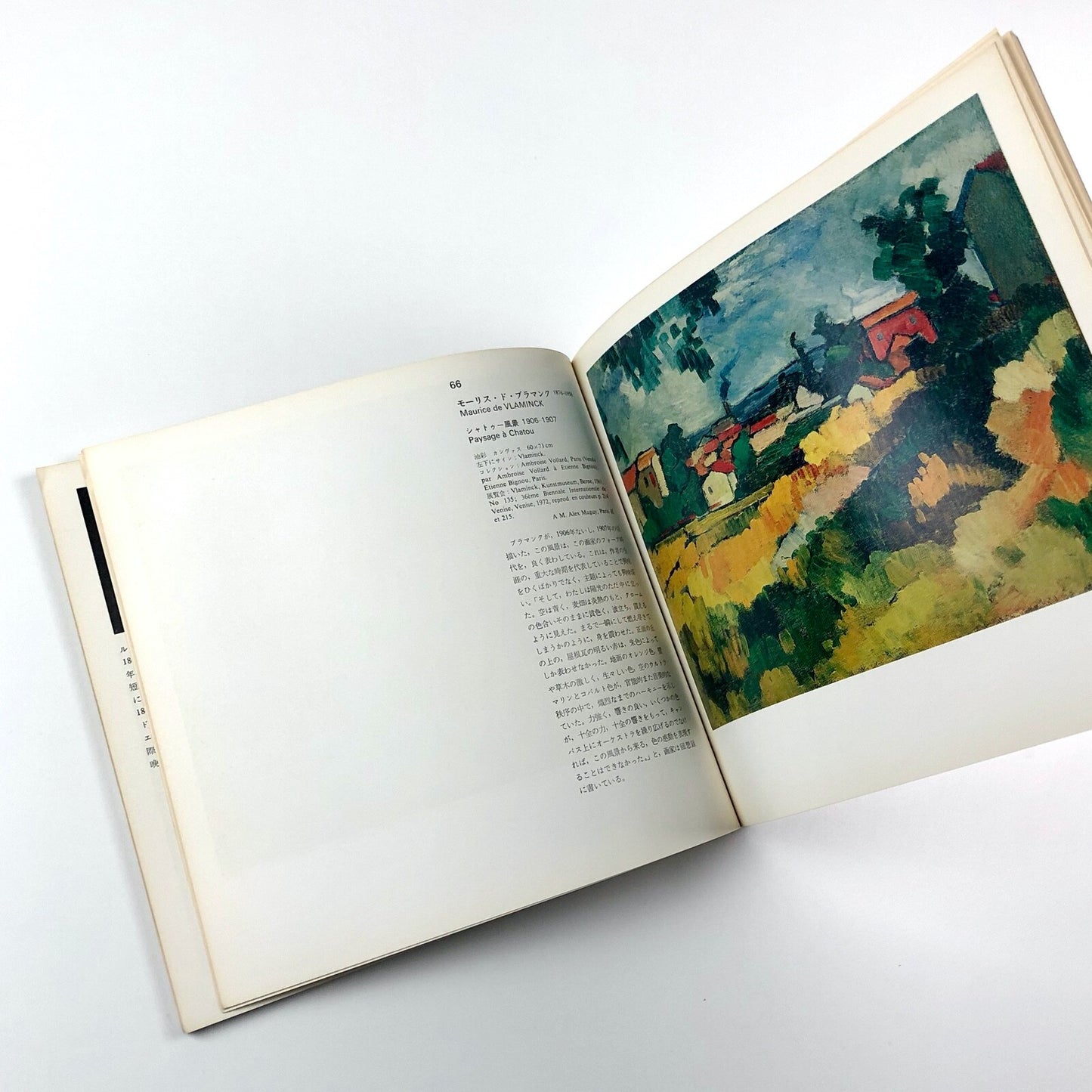 Exposition les Fauves | Galeries Seibu, Tokyo & Kanazawa exhibition catalogue, 1974