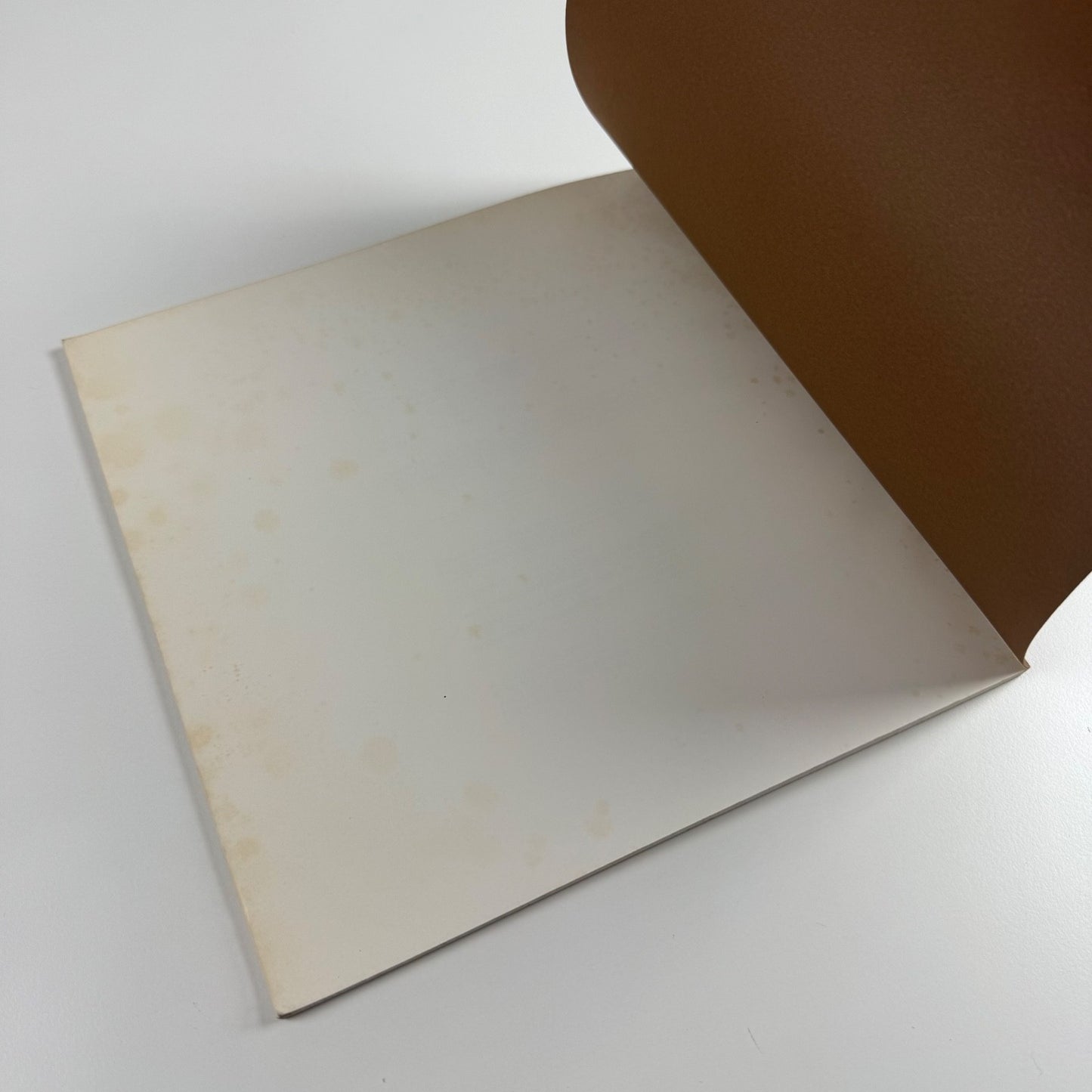 Rauschenberg at GraphicStudio | University of South Florida, 1974