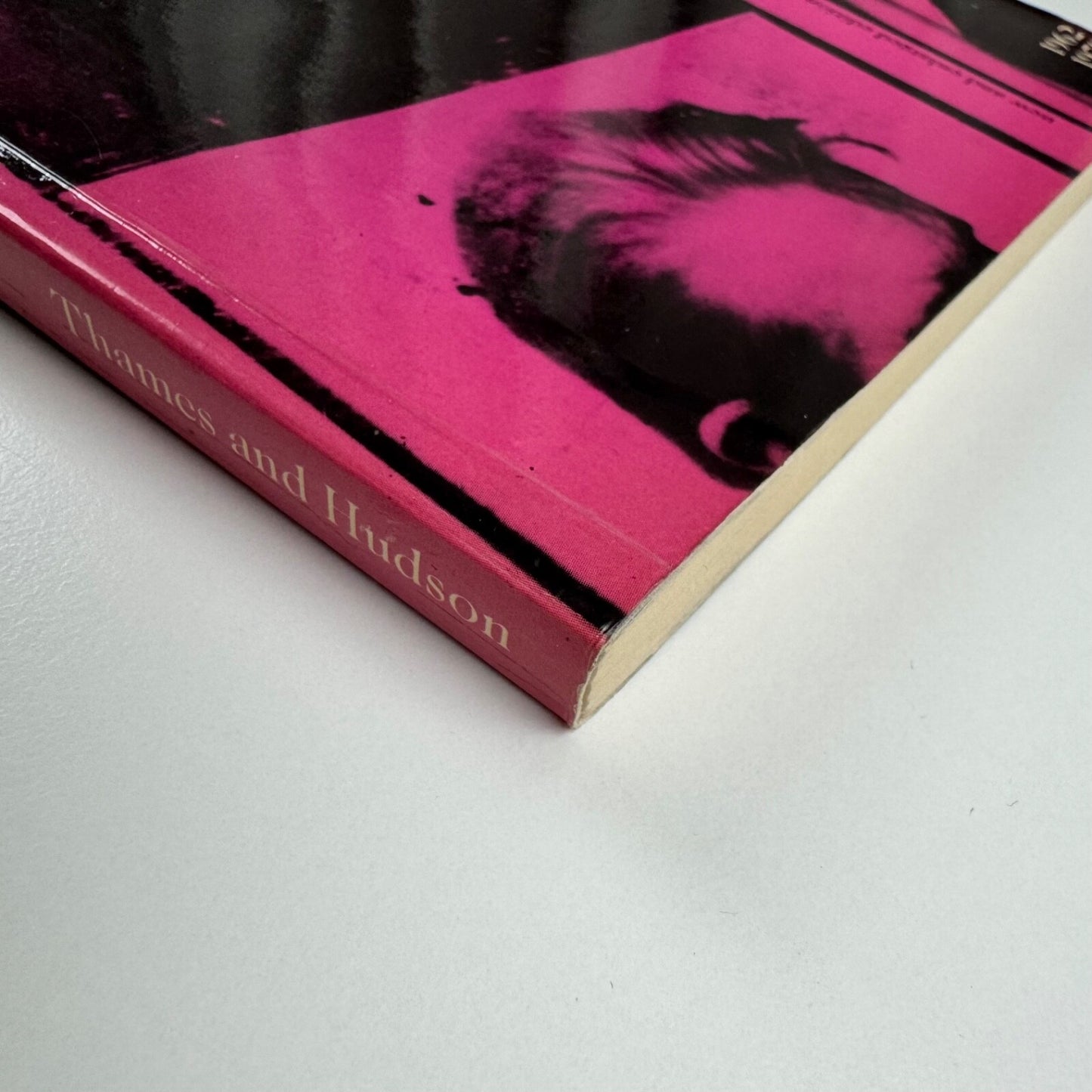Interviews with Francis Bacon 1962 1979 by David Sylvester Thames & Hudson 1980
