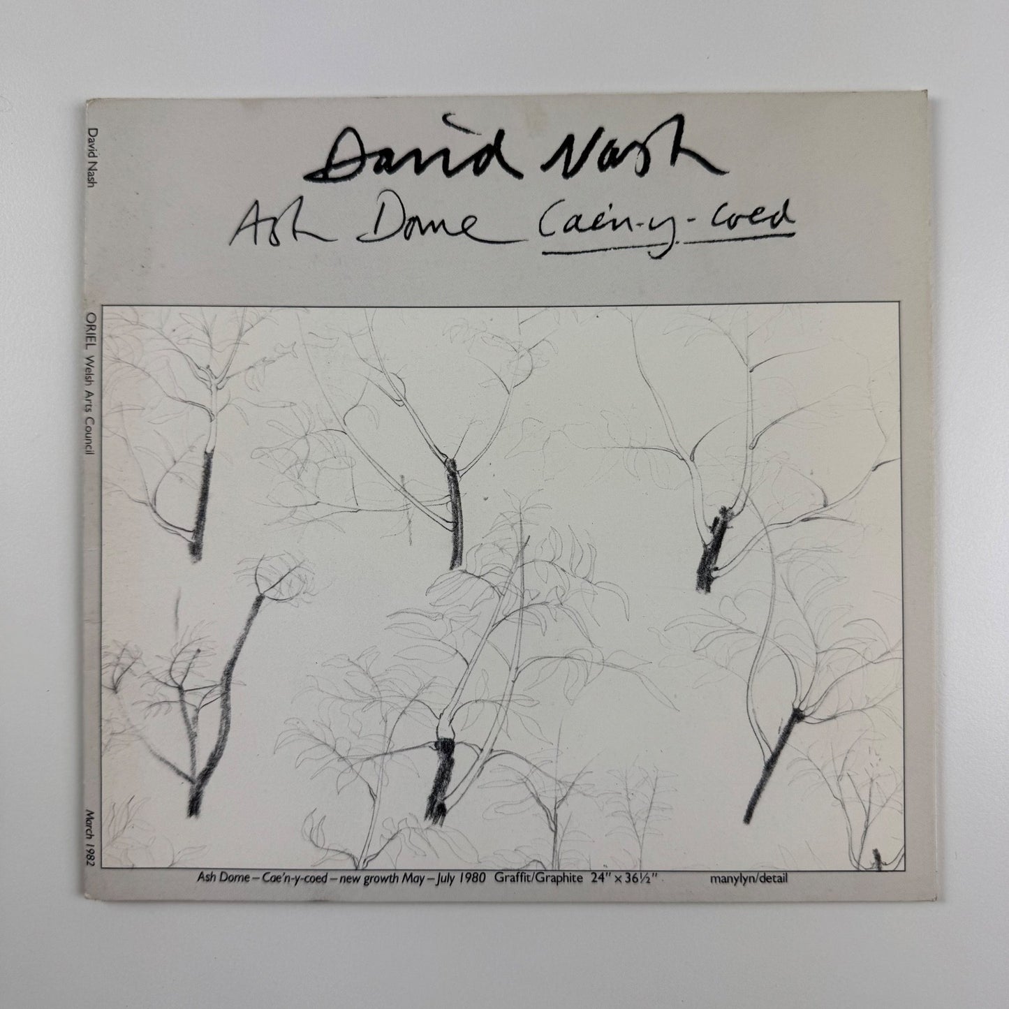 David Nash. Ash Dome Caen-y-Coed | Oriel Gallery, Welsh Arts Council, 1982
