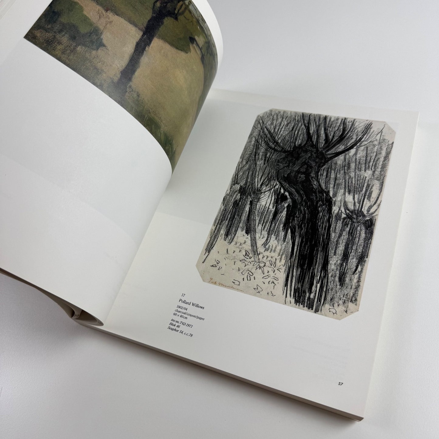 Mondrian from figurations to abstraction by Herbert Henkels 1988