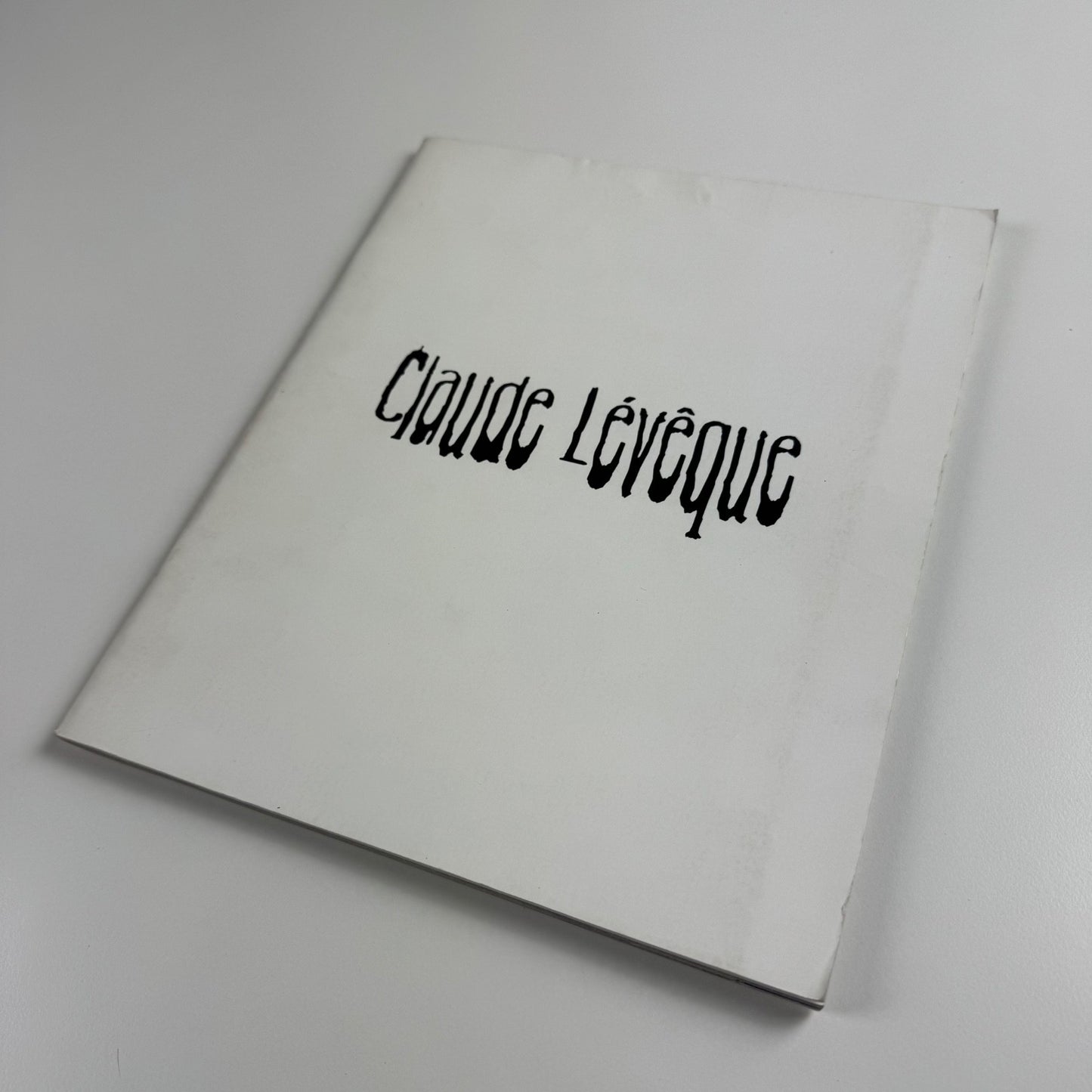 Claude Leveque. My Way | Musée d’Art Moderne de la Ville de Paris 1996