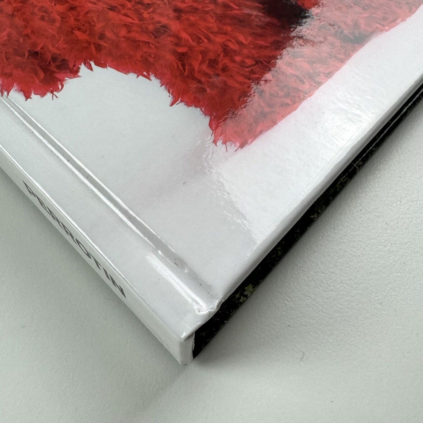 Paola Pivi. Massimiliano Gioni & Jens Hoffmann | Galerie Perrotin, 2013