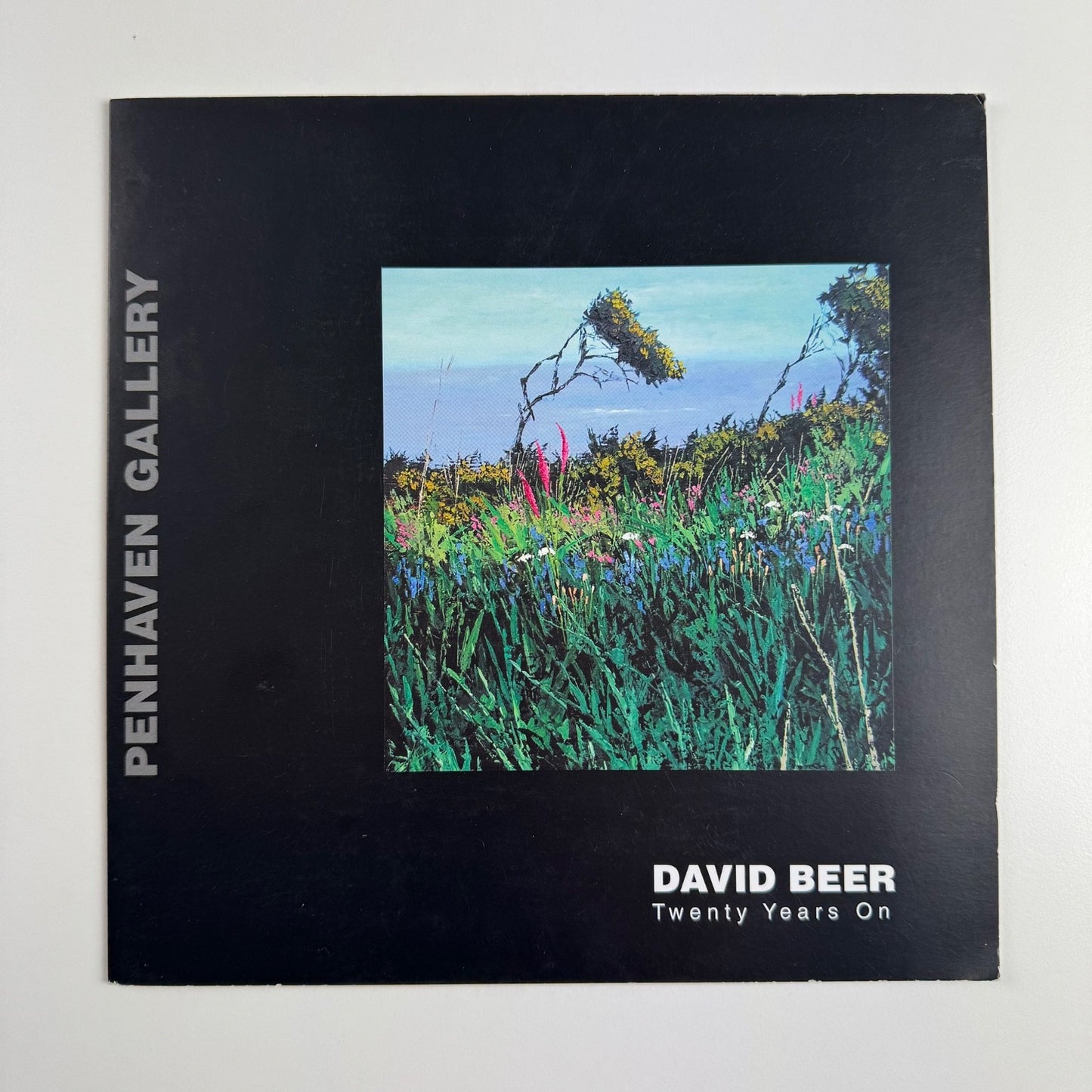 David Beer. Twenty Years On | Penhaven Gallery, 2006