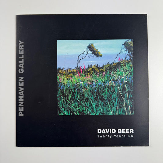 David Beer. Twenty Years On | Penhaven Gallery, 2006