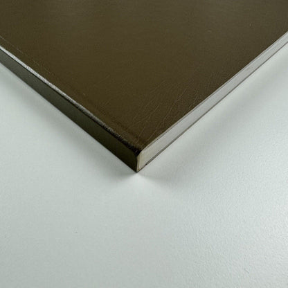 Gary Hume. American Tan | White Cube, London, 2007